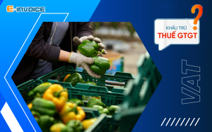 Quy định về thuế giá trị gia tăng